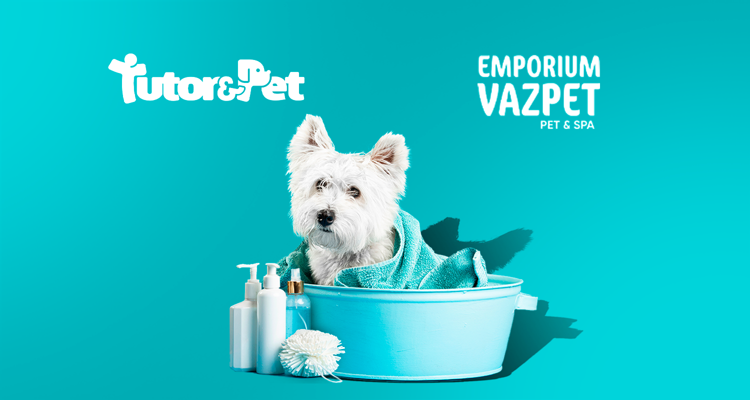 Blog Tutor&Pet - Tutor&Pet e Emporium Vazpet fazem parceria para Cuidar de Pets Idosos com Excelência!