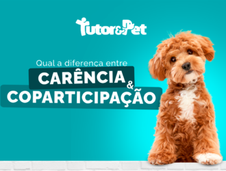 Qual a diferença entre carência e coparticipação nos planos de saúde para pets?