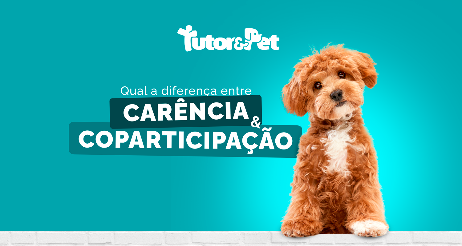 Qual a diferença entre carência e coparticipação nos planos de saúde para pets?