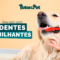 Como escovar os dentes do meu pet?