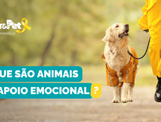 O que são animais de apoio emocional?