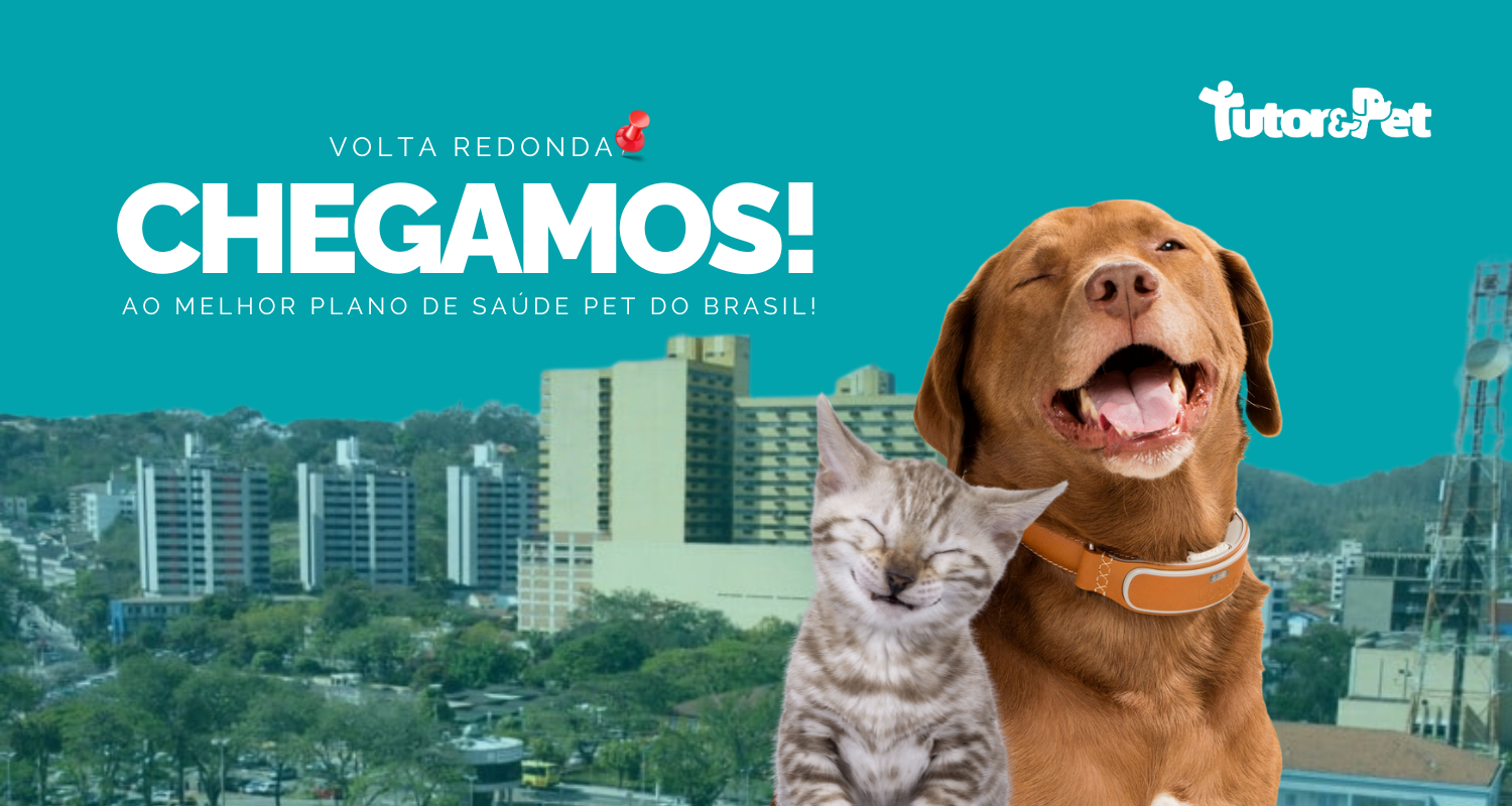 Tutor&Pet agora em Volta Redonda: Conheça nossos serviços para você e seu pet!