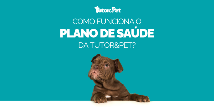 Como funciona o plano de saúde da Tutor&Pet?