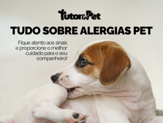 Principais tipos de alergias em pets 