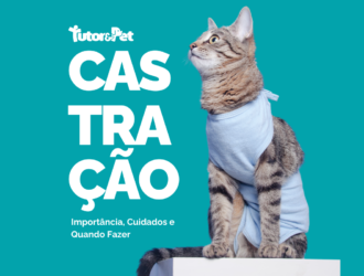 Castração de Pets: Importância, Cuidados e Quando Fazer 