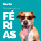 5 Dicas para Curtir as Férias com o Seu Pet