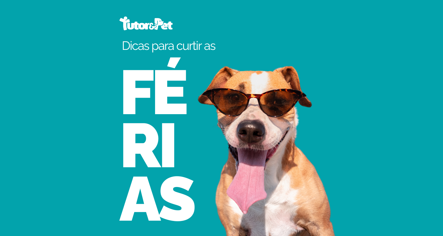 5 Dicas para Curtir as Férias com o Seu Pet