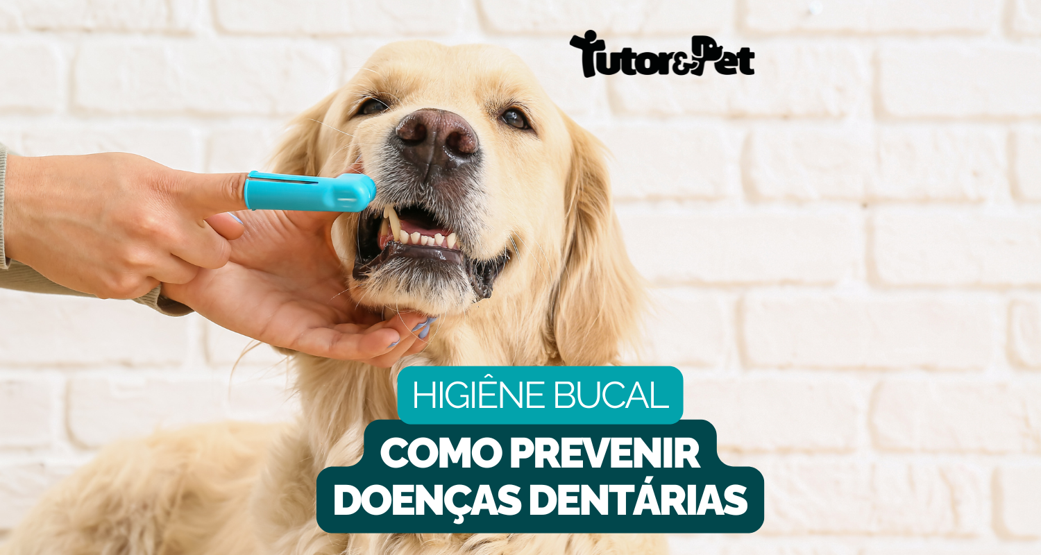 Guia Completo para a Higiene Bucal do seu Pet: Mantenha o Sorriso saudável do seu Melhor Amigo