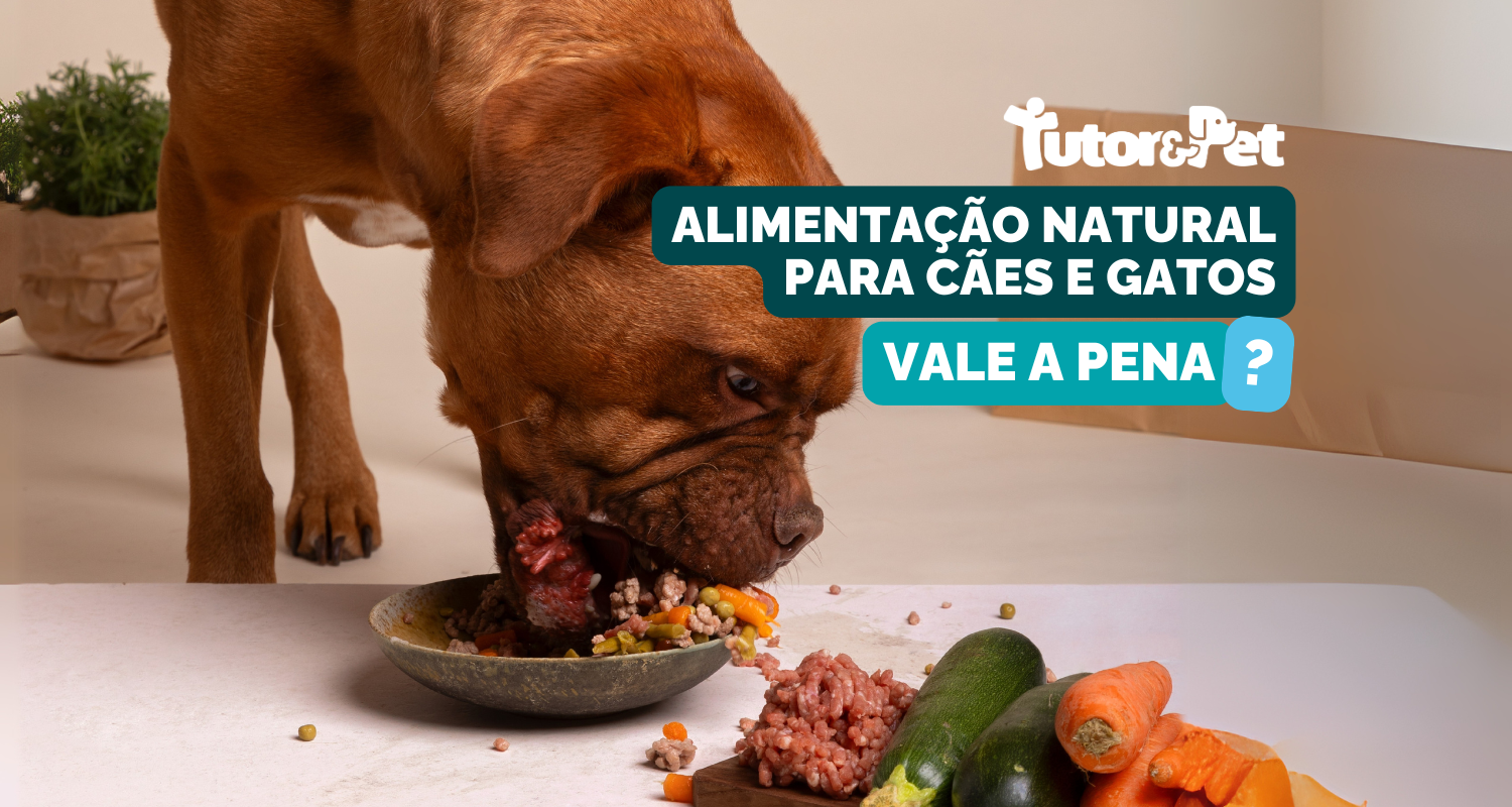 Alimentação Natural para Cães e Gatos: Vale a Pena?