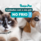 Cuidados com o seu pet no frio: como proteger seu melhor amigo nas estações mais geladas