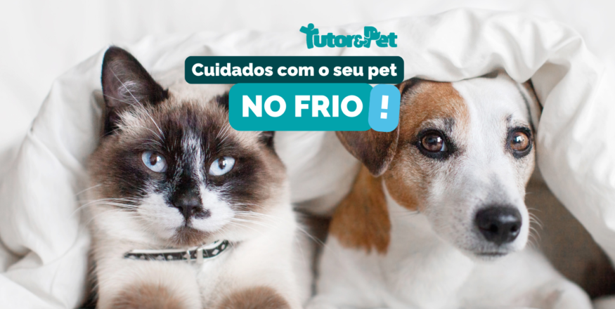 Cuidados com o seu pet no frio: como proteger seu melhor amigo nas estações mais geladas