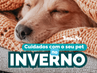 Cuidados com o seu pet no inverno: como manter seu amigo saudável nos dias frios.