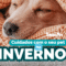 Cuidados com o seu pet no inverno: como manter seu amigo saudável nos dias frios.