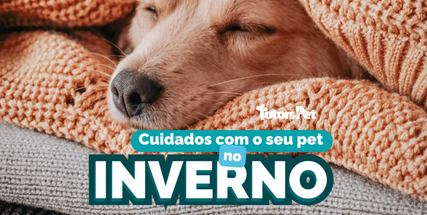 Cuidados com o seu pet no inverno: como manter seu amigo saudável nos dias frios.