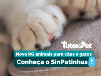 SinPatinhas: conheça o novo RG animal para cães e gatos